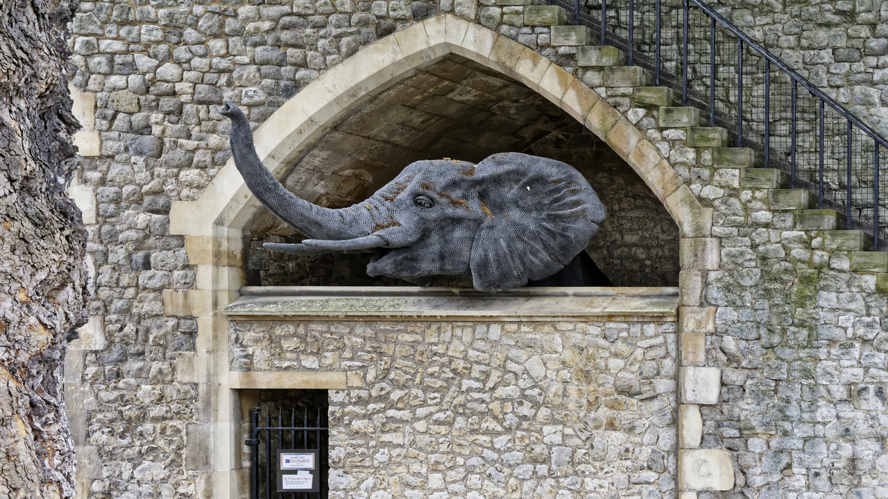 20230723 115124••London•England•UK